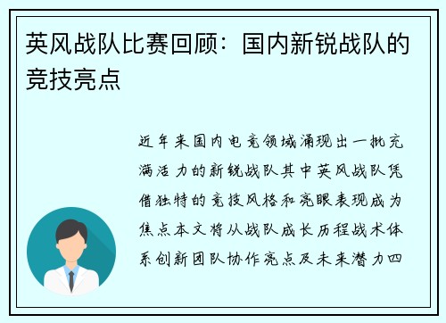 英风战队比赛回顾：国内新锐战队的竞技亮点